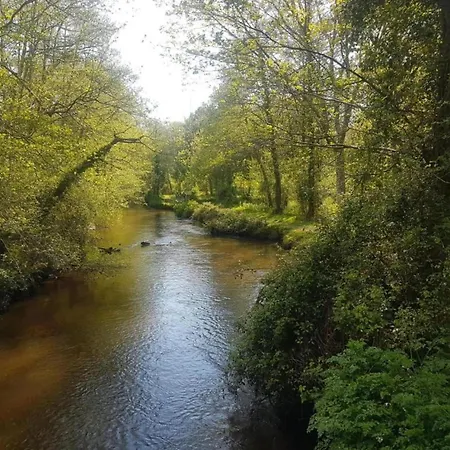 In France With Views Aureilhan (Landes)