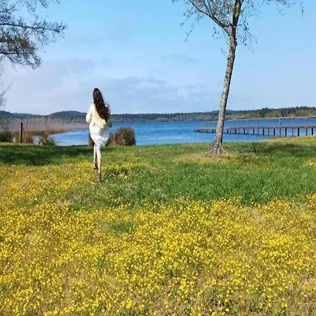 Apartamento In France With Views Aureilhan (Landes)